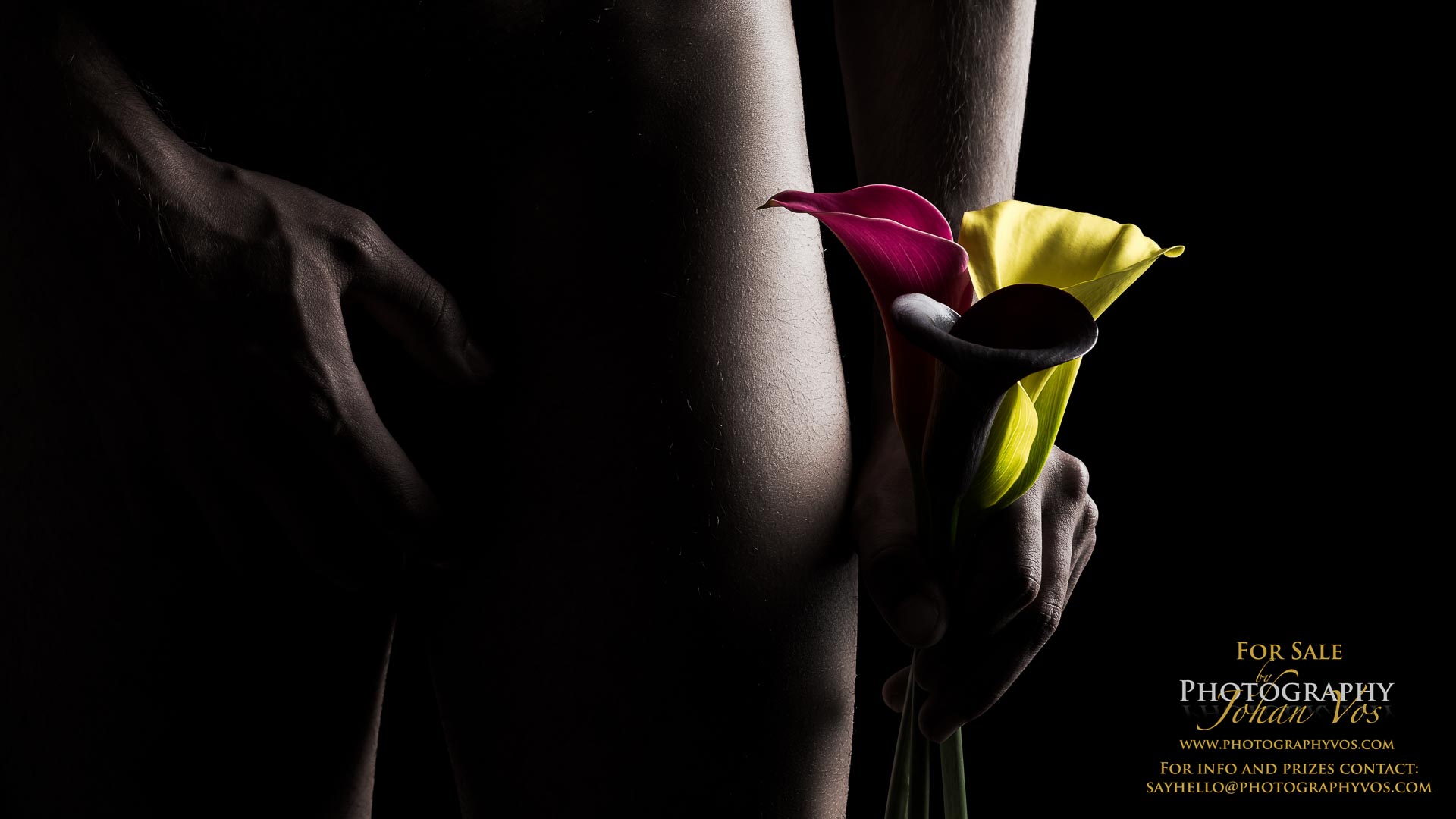 © www.photographyvos.com