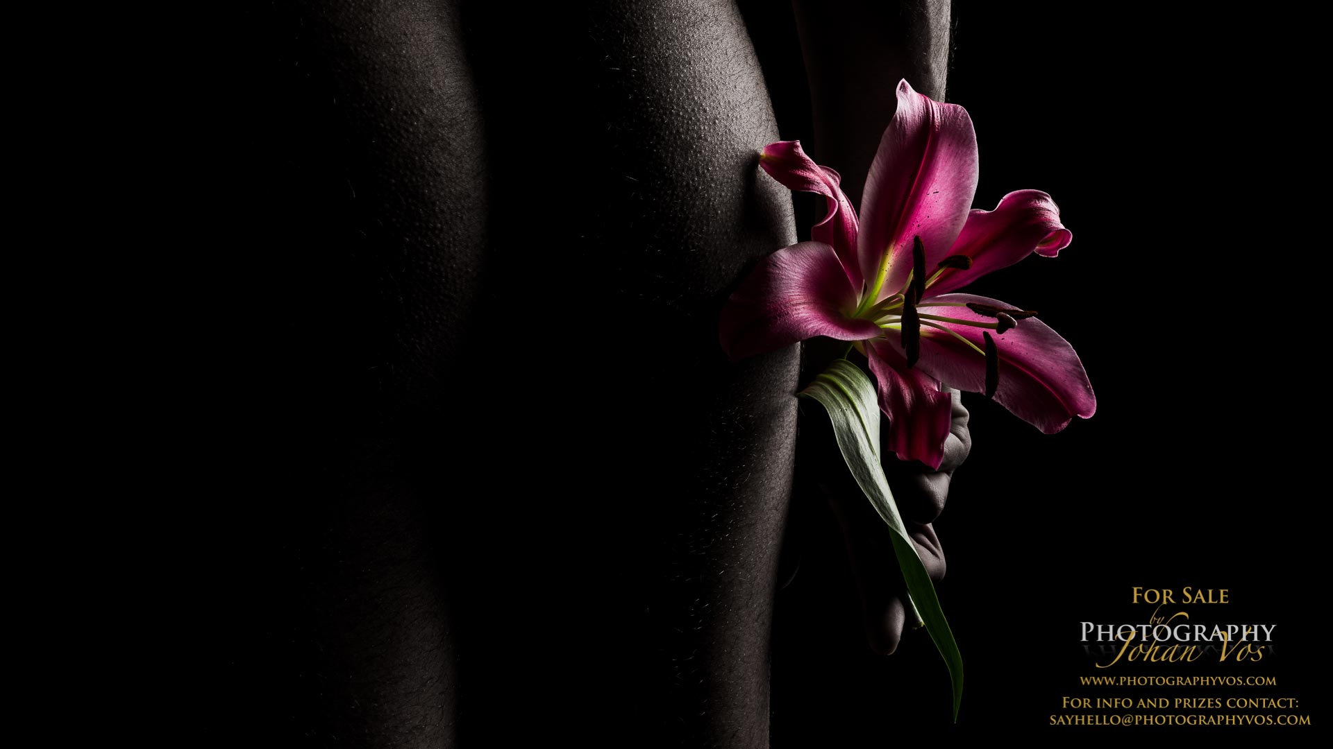 © www.photographyvos.com
